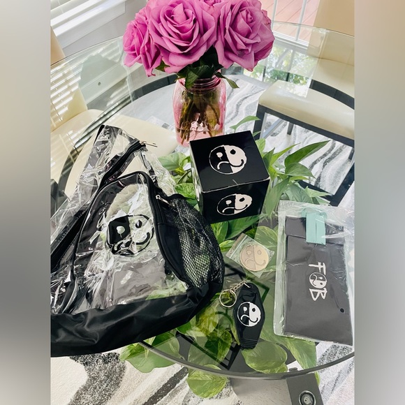 FALL OUT BOY VIP MERCH 🩵SO MUCH FOR(TOUR)DUST🩵 - Picture 9 of 9